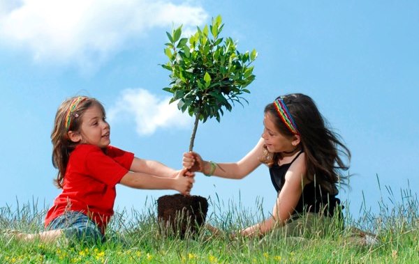 15_Things_you_should_do_with_your_children_before_they_grow_up_17