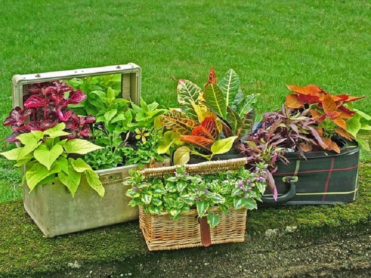 basket-and-suitcase-flower-pots