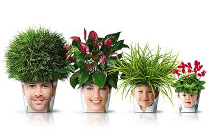 flower_pots_1_360x236-25390-900-500-80-c