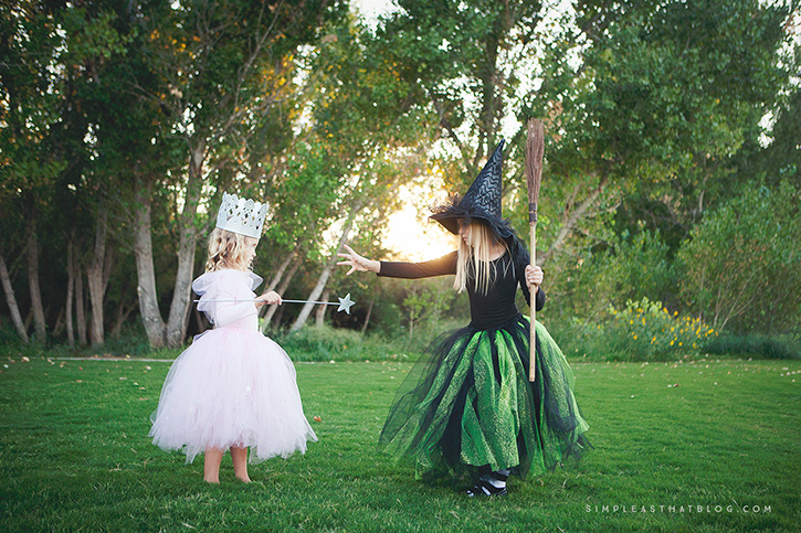 Glinda And Wicked Withc From The West Costumes