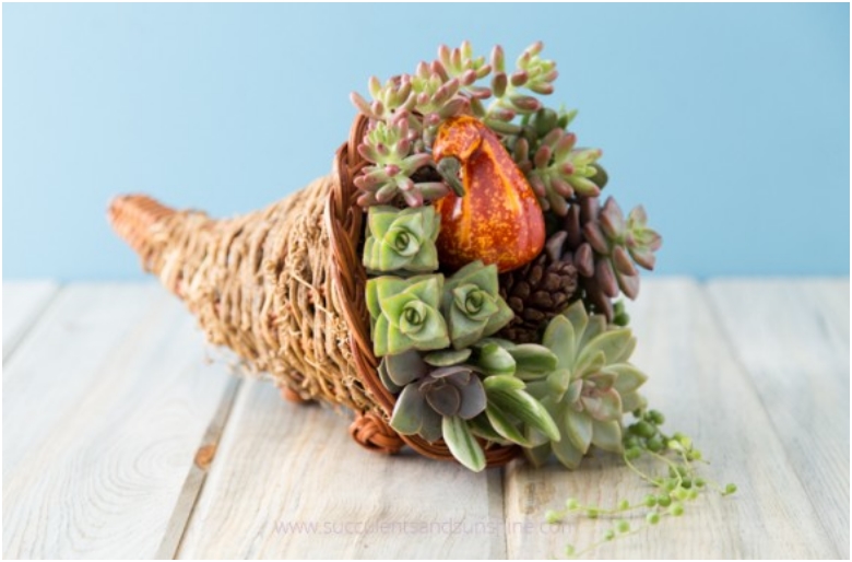 Try-something-different-this-Thanksgiving-with-a-succulent-cornucopia-centerpiece-585x390